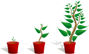 growing-plant-growth-concept