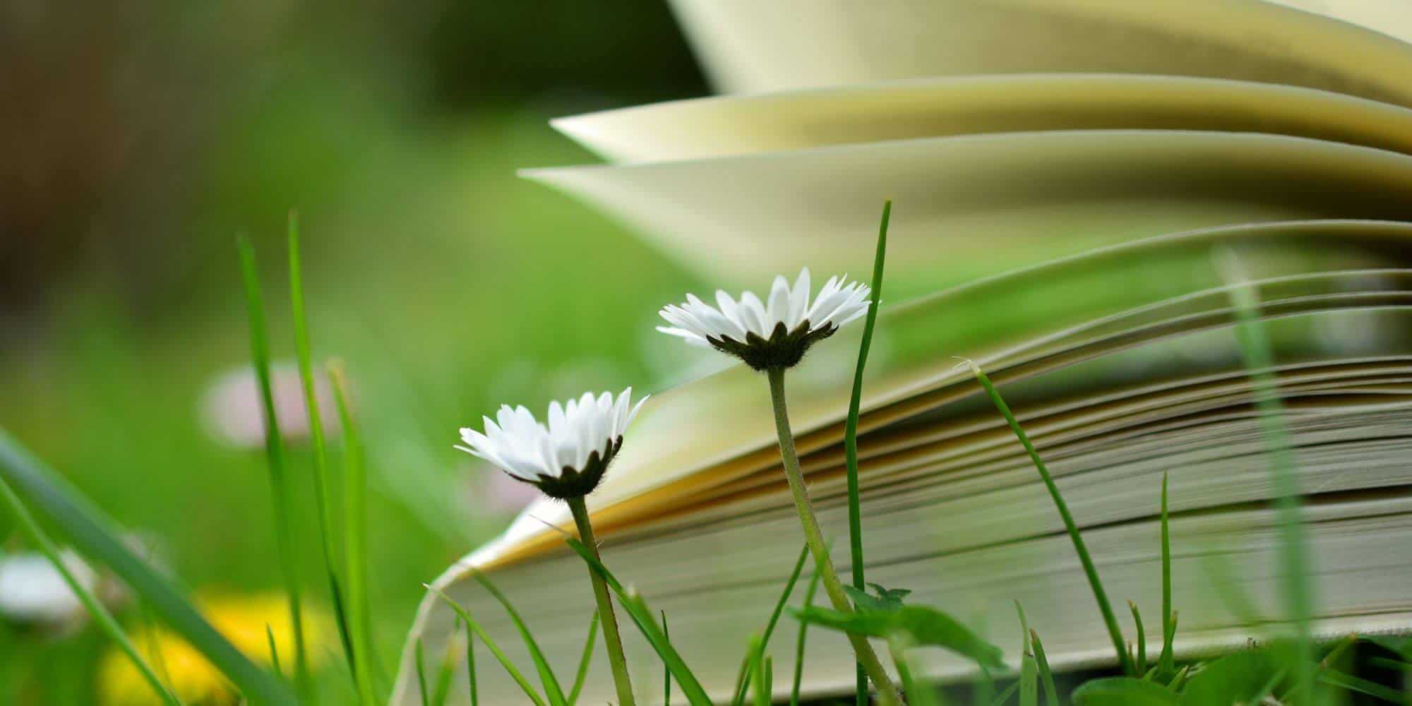 Book laying open in the field