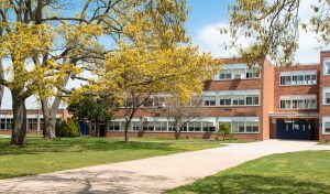 High school image with tree and playground