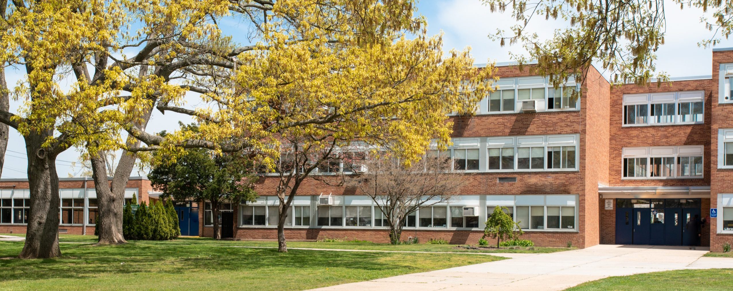High school image with tree and playground